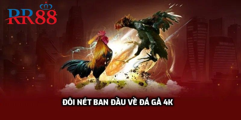 Đôi nét ban đầu về đá gà 4K
